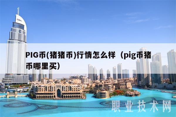 PIG币 - 猪猪币行情怎么样（pig币猪币哪里买-第1张图片-交易所