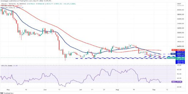 2022价格分析：BTC、ETH、BNB、XRP、ADA、SOL、DOGE、DOT、MATIC、SHIB-第2张图片-交易所
