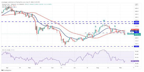 2022价格分析：BTC、ETH、BNB、XRP、ADA、SOL、DOGE、DOT、MATIC、SHIB-第4张图片-交易所