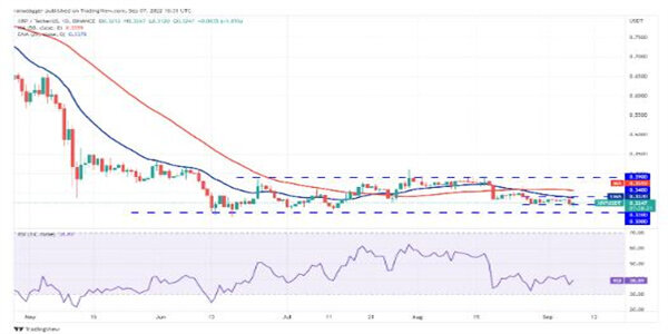 2022价格分析：BTC、ETH、BNB、XRP、ADA、SOL、DOGE、DOT、MATIC、SHIB-第5张图片-交易所