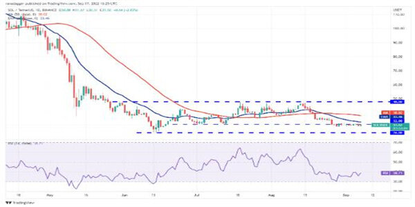 2022价格分析：BTC、ETH、BNB、XRP、ADA、SOL、DOGE、DOT、MATIC、SHIB-第7张图片-交易所