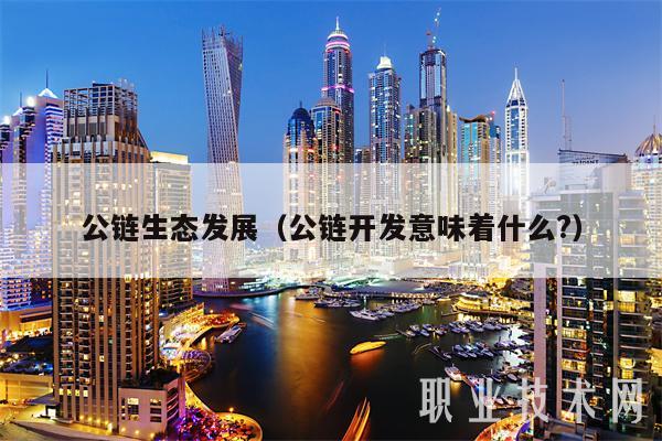 公链生态发展（公链开发意味着什么？-第1张图片-交易所