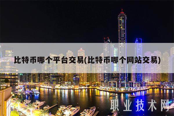 比特币哪个平台交易(比特币哪个网站交易)-第1张图片-交易所