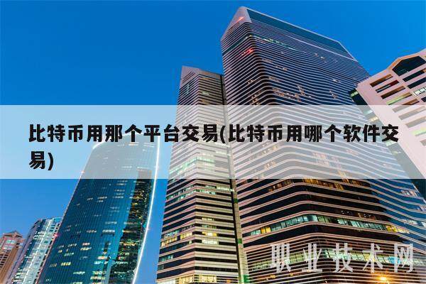 比特币用那个平台交易(比特币用哪个软件交易)-第1张图片-交易所