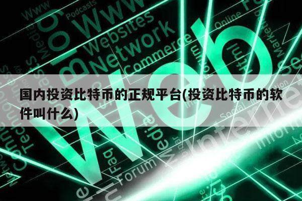 国内投资比特币的正规平台(投资比特币的软件叫什么)-第1张图片-交易所
