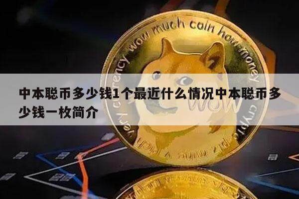 中本聪币多少钱1个最近什么情况中本聪币多少钱一枚简介-第1张图片-交易所