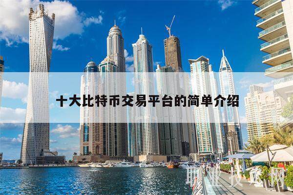十大比特币交易平台的简单介绍-第1张图片-交易所
