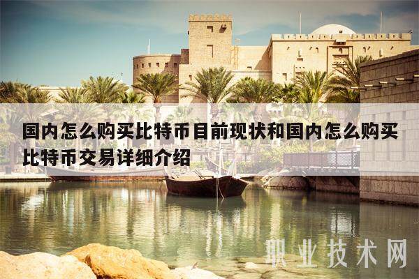 国内怎么购买比特币目前现状和国内怎么购买比特币交易详细介绍-第1张图片-交易所