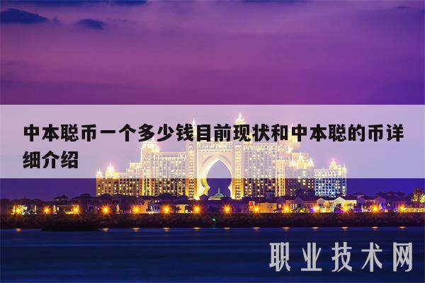 中本聪币一个多少钱目前现状和中本聪的币详细介绍-第1张图片-交易所