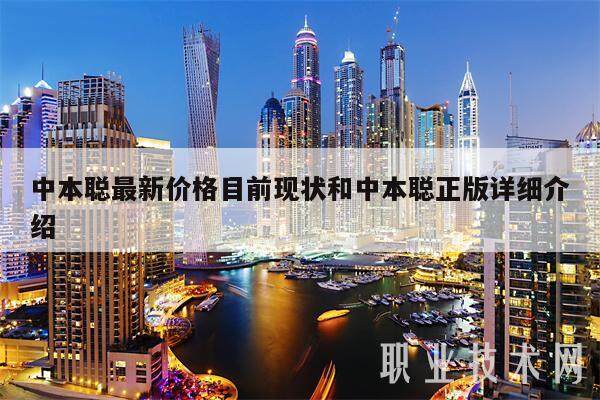 中本聪最新价格目前现状和中本聪正版详细介绍-第1张图片-交易所