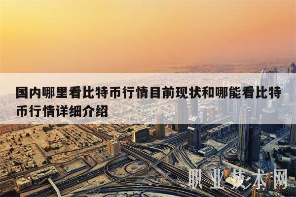 国内哪里看比特币行情目前现状和哪能看比特币行情详细介绍-第1张图片-交易所