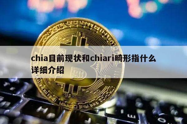 chia目前现状和chiari畸形指什么详细介绍-第1张图片-交易所