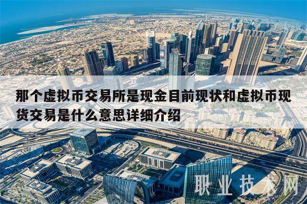 那个虚拟币交易所是现金目前现状和虚拟币现货交易是什么意思详细介绍-第1张图片-交易所