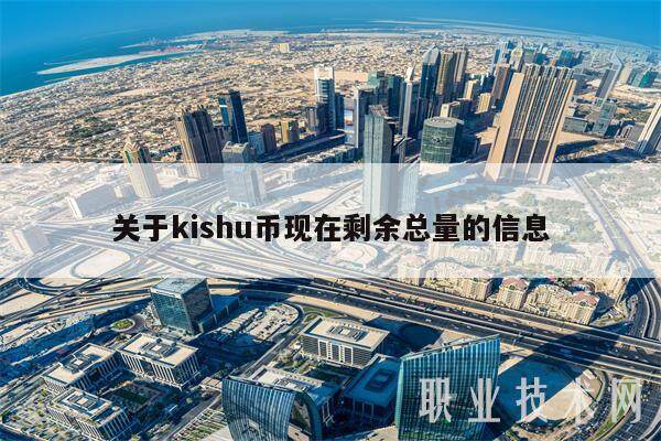 关于kishu币现在剩余总量的信息-第1张图片-交易所