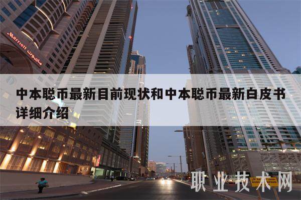 中本聪币最新目前现状和中本聪币最新白皮书详细介绍-第1张图片-交易所