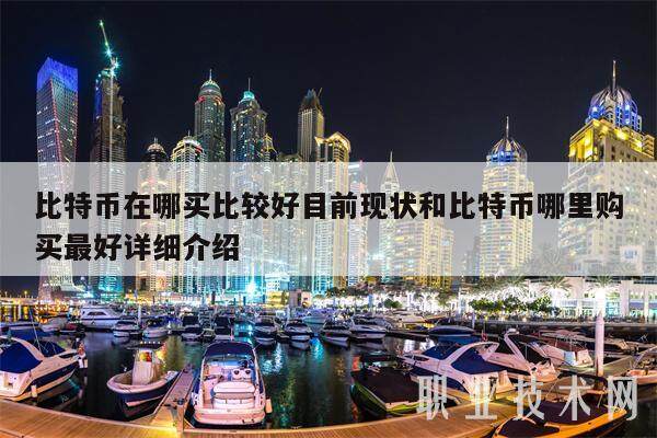 比特币在哪买比较好目前现状和比特币哪里购买最好详细介绍-第1张图片-交易所