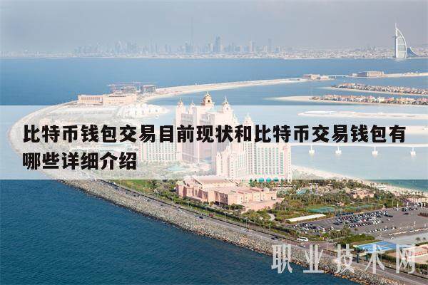 比特币钱包交易目前现状和比特币交易钱包有哪些详细介绍-第1张图片-交易所