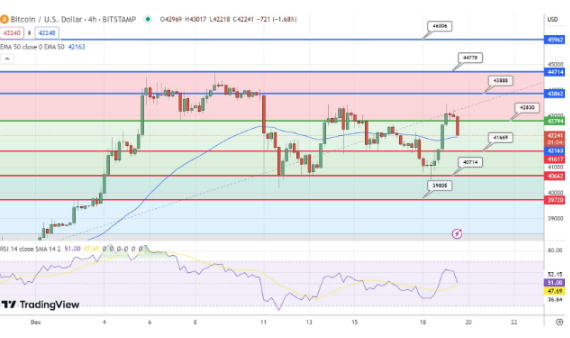 随着BTC上涨5.30%至43000美元　能否持续这种增长？-第2张图片-交易所