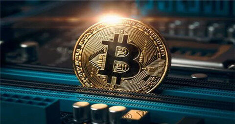 Arbitrum链上宠物xPET爆火！采用XPET、BPET双代币模式-第1张图片-交易所