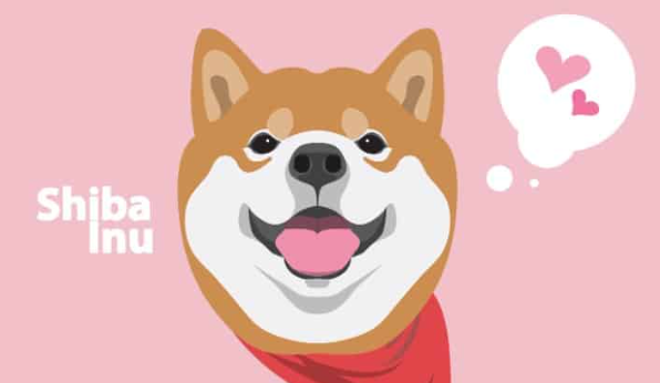 SHIB筹集了超过130万美元-第1张图片-交易所