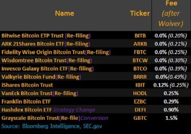 美SEC批准11只比特币现货ETF！-第3张图片-交易所