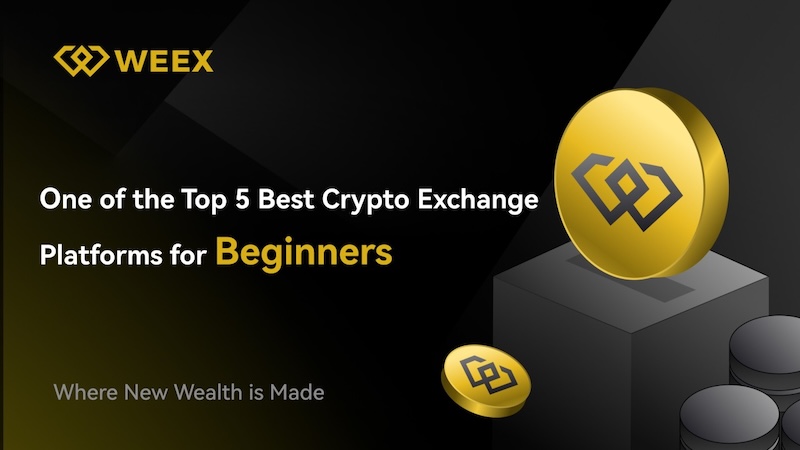 weex交易所官网  weex交易所官网注册指南 - php中文网